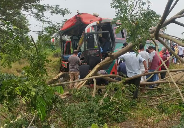 8 Personas Heridas Tras El Choque De Un Bus Contra Un árbol Diario La