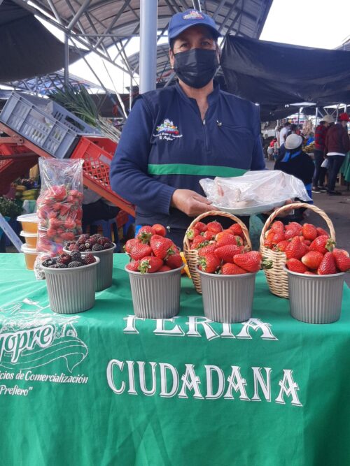 Feria de productos orgánicos los fines de semana en Ambato Diario La Hora