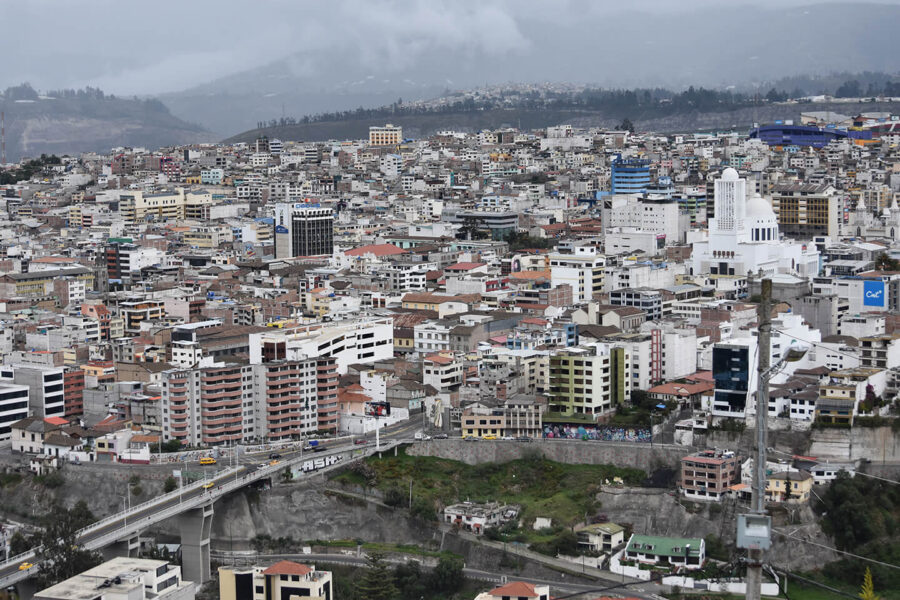 En Ambato se deben sembrar 200 mil árboles en los próximos 25 años