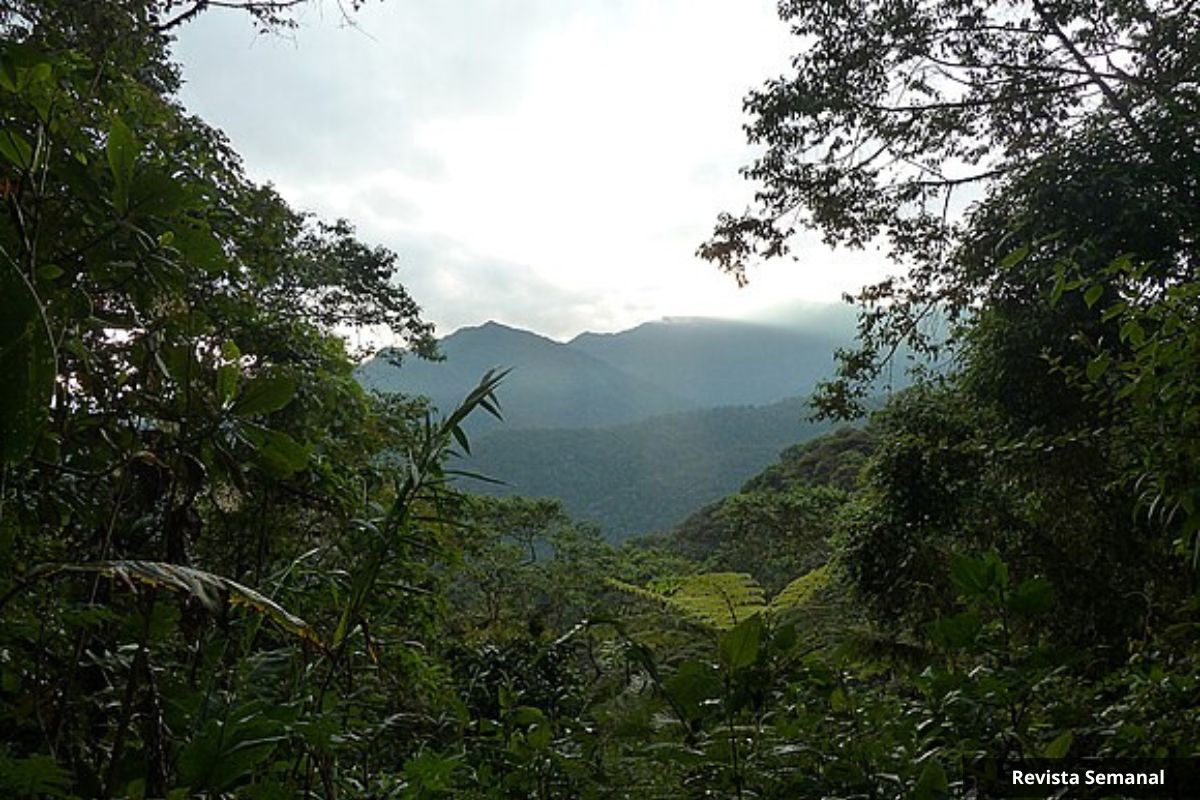 Paseos Naturales, cerca de Quito – Diario La Hora