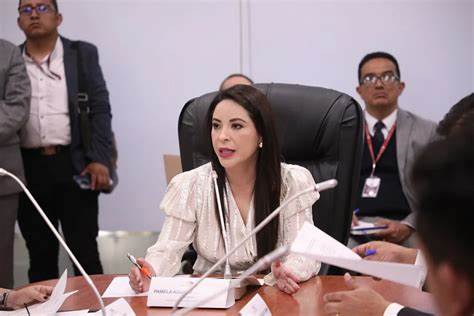 ASAMBLEÍSTA. Pamela Aguirre, asambleísta de la bancada de la Revolución Ciudadana y presidenta de la Comisión de Fiscalización.