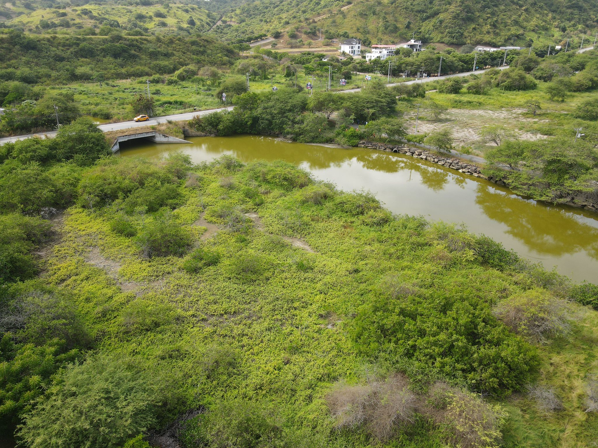 CONSERVACIÓN. El proyecto contará con caminerías y acceso al cuerpo de agua por lo que realizaba la deforestación de la zona. Foto: Fundación La Iguana