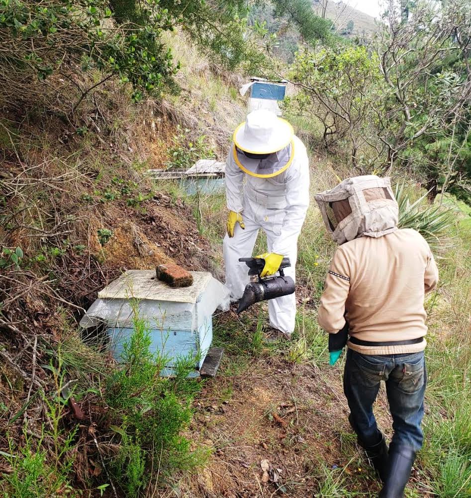 Capacitación apícola para parroquias lojanas