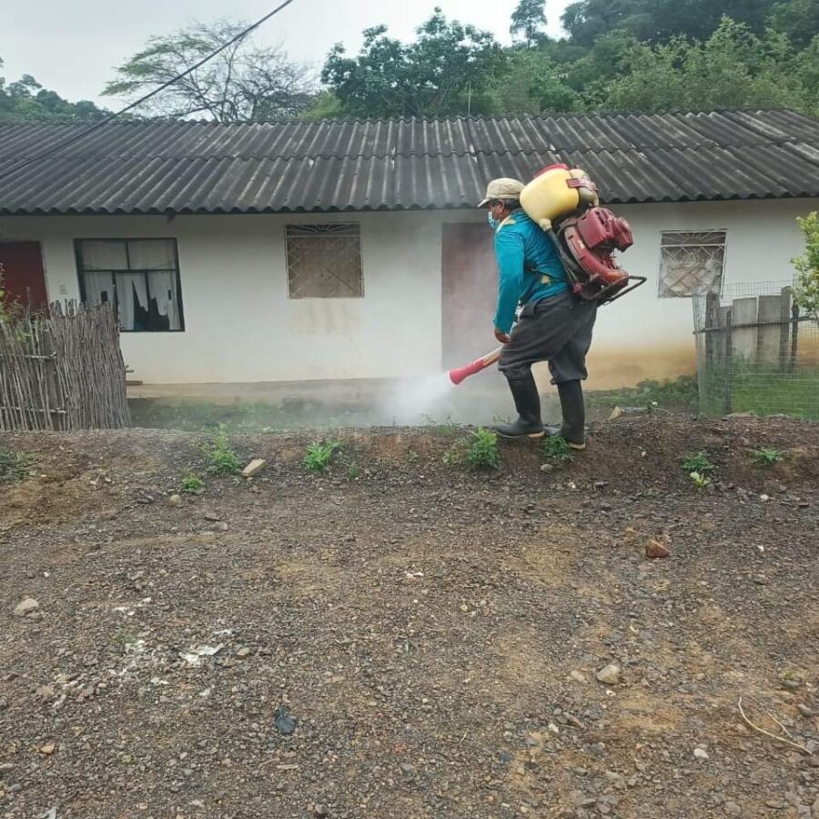 Alarma por aumento de casos de dengue en Macará y otros cantones de la provincia